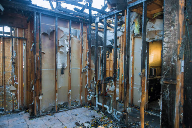 Professional Fire Board Up technician working in Sun City Center, FL