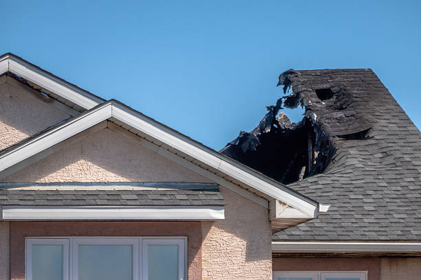 Top rated local Fire Board Up specialists in Sun City Center, FL